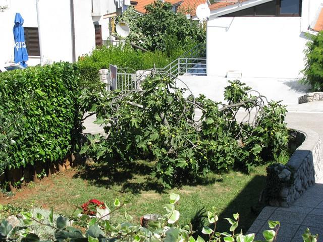 Apartman "Ela" Нивице Экстерьер фото